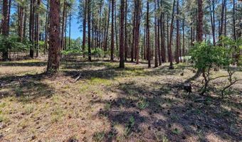 79 Spruce Way, Bayfield, CO 81122