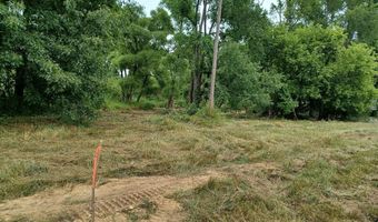 9250 92nd St SE, Alto, MI 49302