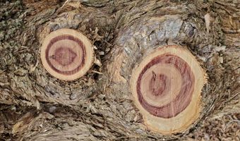 4775 S 50th Rd, Aldrich, MO 65601