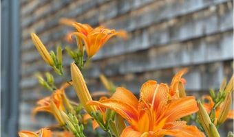 382 S Main St, Alburgh, VT 05440