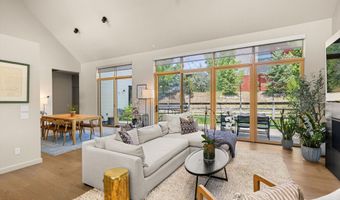 113 Valley Ct, Basalt, CO 81621