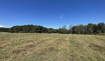 2859 B Brashiers Chapel Rd, Arab, AL 35016