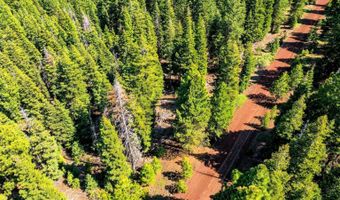 8735 Bering Rd, Alturas, CA 96101