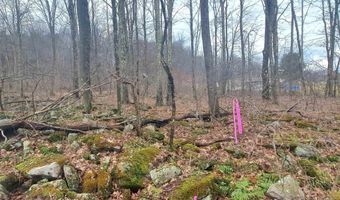 Glade Run Road, Albright, WV 26519
