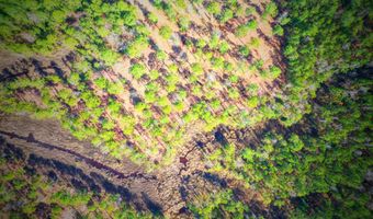 203 Paradox Point Dr, Aurora, NC 27806