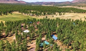 18 County Rd 2120, Alpine, AZ 85920