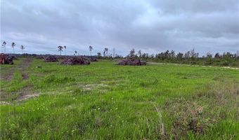 9 219 Ac Rhine Alma GA Rd, Alma, GA 31510