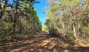 TBD Raw Land, Bates, AR 72958