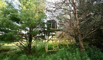 9537 LAKEVIEW, Alanson, MI 49706