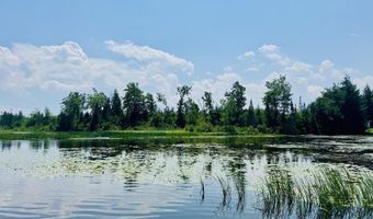 Macey Lane, Alpena, MI 49707