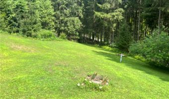 3220 Mcclure Hollow Rd, Allegany, NY 14706
