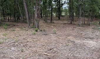 Lot 1 Quattlebaum Drive, Leesville, SC 29070