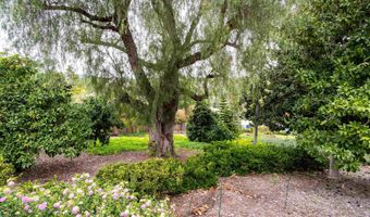 436 Montana Luna Ct, Escondido, CA 92025