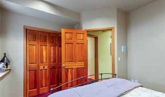 463 Blue Flag Cir, Breckenridge, CO 80424