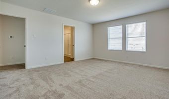 209 Briar Cv, Anna, TX 75409