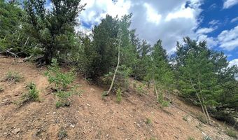 847 COUNTY ROAD 787, Alma, CO 80420