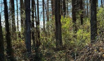 00 Airport Rd, Andrews, NC 28901