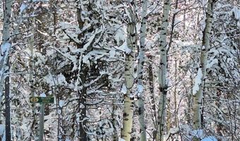 4376 Granite Rdg, Ashton, ID 83420