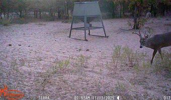 11605 County Road 372, Anson, TX 79501