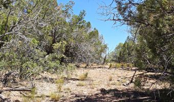 3200 W Poppy Rd, Ash Fork, AZ 86320