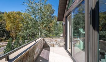 1154 E Cooper Ave B, Aspen, CO 81611