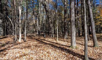 Lot 33 S Badger Lane, Arkdale, WI 54613