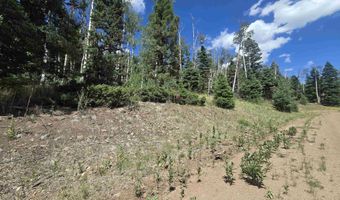 Plesant Valley lot 1302, Angel Fire, NM 87710