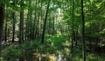 Us-51, Bogue Chitto, MS 39629