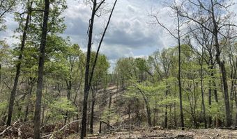 State Hwy N Tract G, Ava, MO 65608