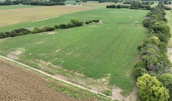 290 CR, Asbury, MO 64832