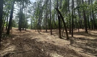 Ridge Road lot E, Appling, GA 30802
