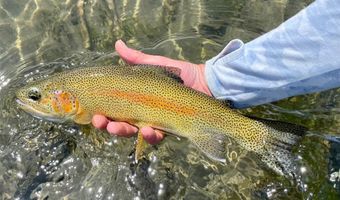 Riverway Road lot 15 A Tbd, Belgrade, MT 59714