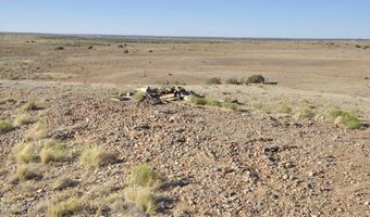 986 Concho Hwy, Concho, AZ 85924