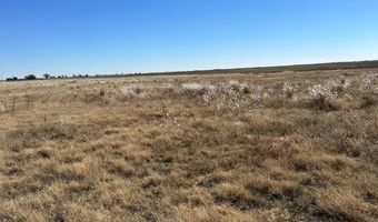 US Highway 84, Anton, TX 79336