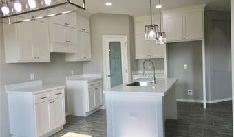 429 Serg Loop, Alamo, TX 78516