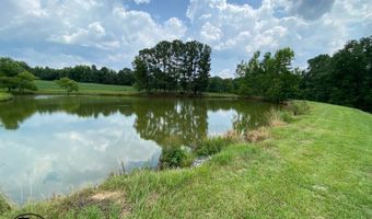 2665 Mt. Carmel Rd, Altoona, AL 35952
