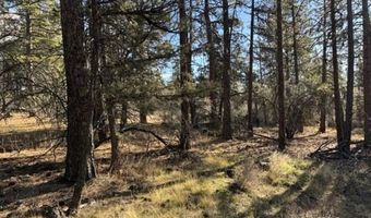 Bunting Drive, Bonanza, OR 97623
