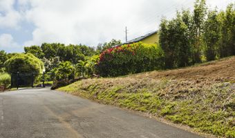 45-2809 LEHUA MAUKA Pl Lot #: 13-G, Honokaa, HI 96727