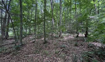 TBD Paint Fork Rd, Barnardsville, NC 28709