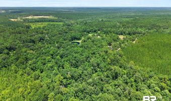 3470 Bell Fork Rd, Atmore, AL 36502