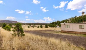 4 County Road 2110, Alpine, AZ 85920