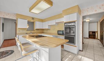 602 E Hackberry Dr, Arlington Heights, IL 60004