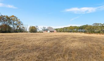 641 Chicora River Rd, Buckatunna, MS 39322