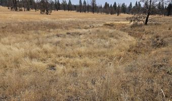 Parazoo Trail Lot 15, Bly, OR 97622