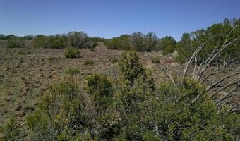 Tbd CR 8026, Concho, AZ 85924
