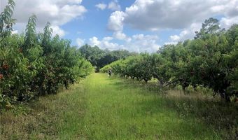 18250 RAVENSWOOD Rd, Altoona, FL 32702