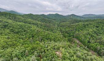 399 Shell Stand Rd, Almond, NC 28702