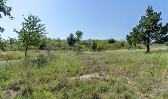 110 Pringle Ct, Alvord, TX 76225