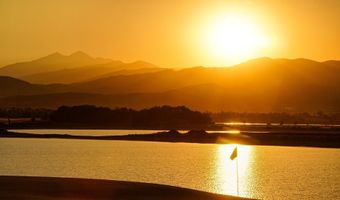 910 Logan Peak Way, Berthoud, CO 80513