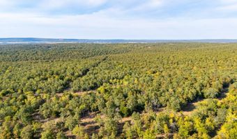 160 Jones Creek Rd, McAlester, OK 74501